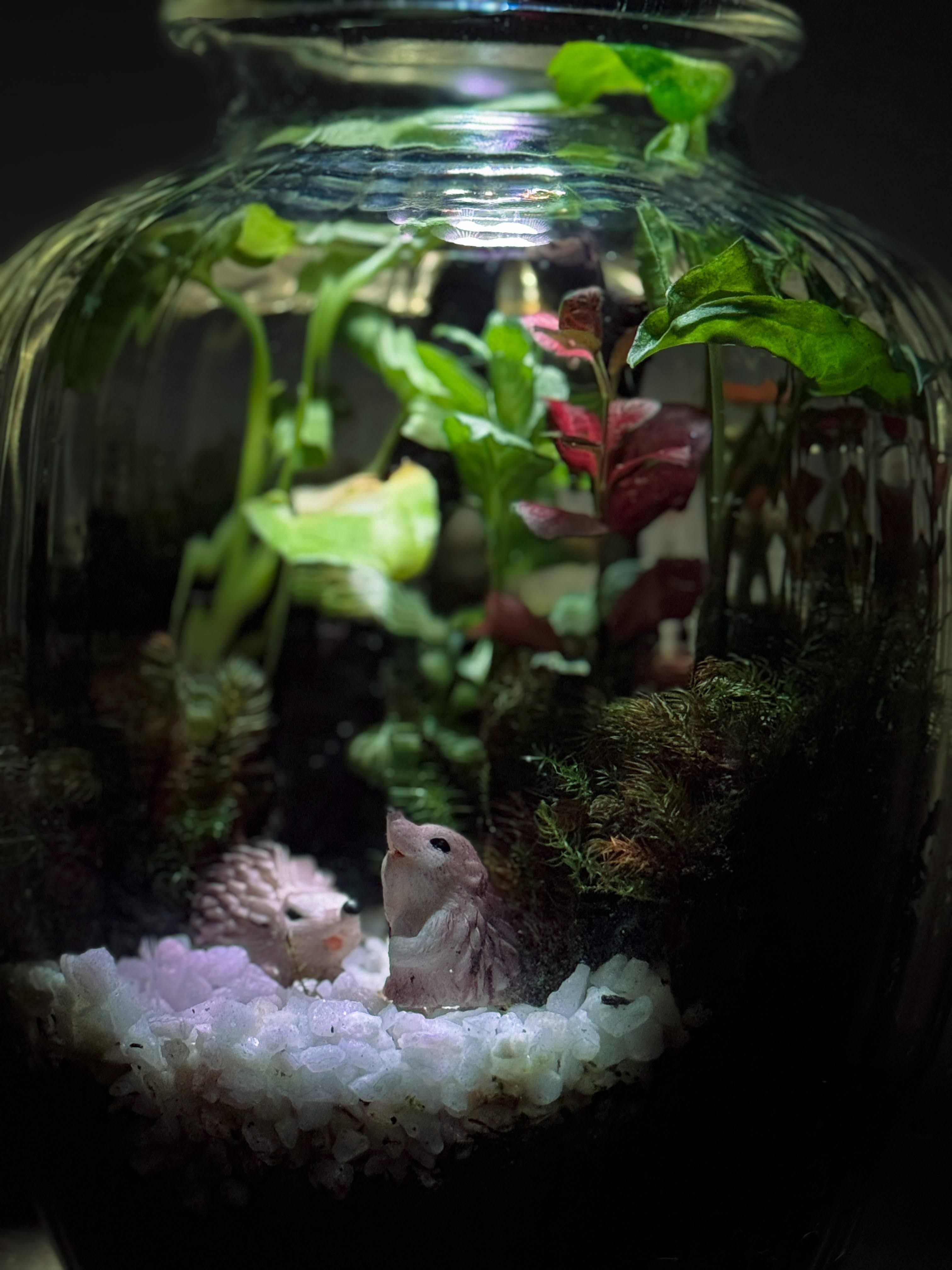 Large ribbed glass jar terrarium with small animal figurines and white pebbles